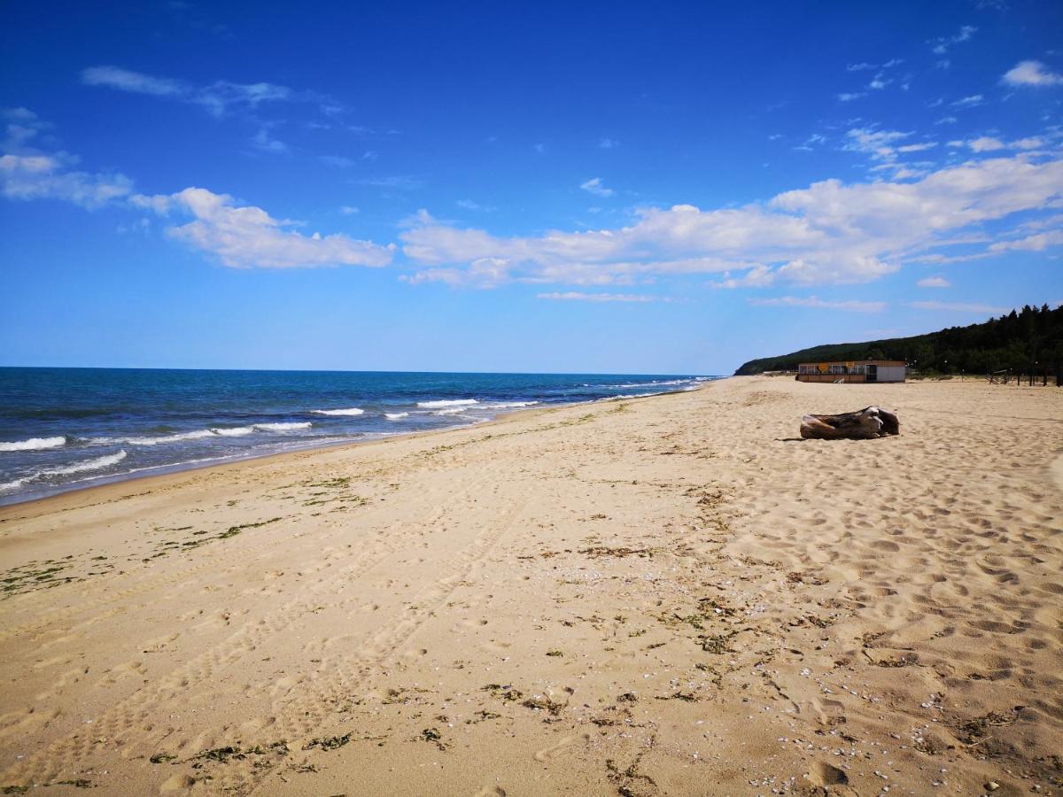 Sea Mood Apartment Shkorpilovtsi Bagian luar foto